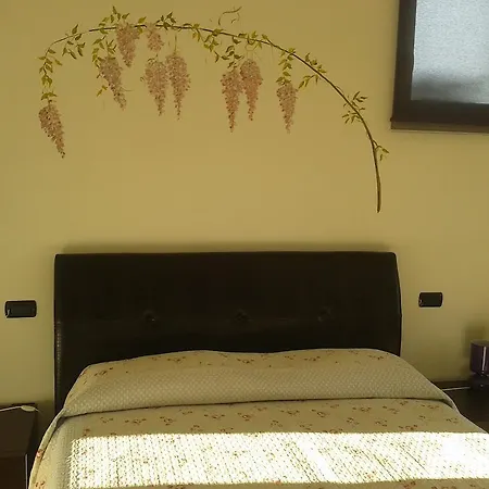 팜스테이 Botton D'oro *