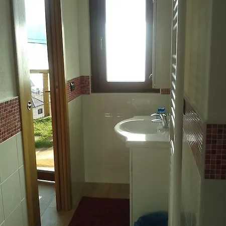 팜스테이 Botton D'oro *