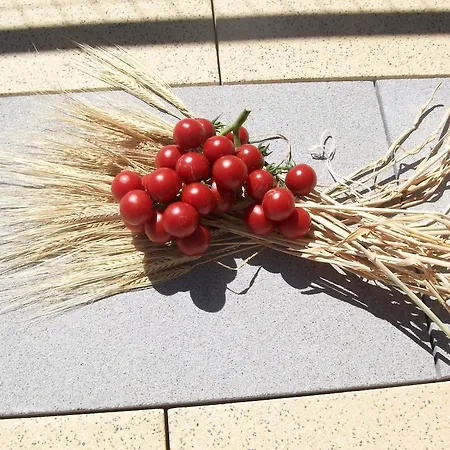 팜스테이 Botton D'oro *